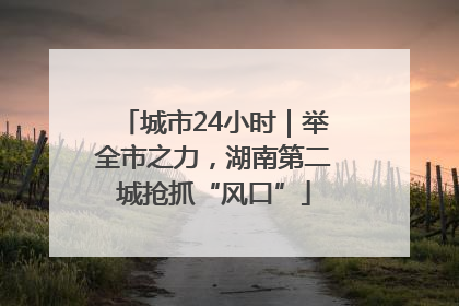 城市24小时｜举全市之力，湖南第二城抢抓“风口”