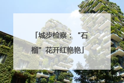 城步检察：“石榴”花开红艳艳