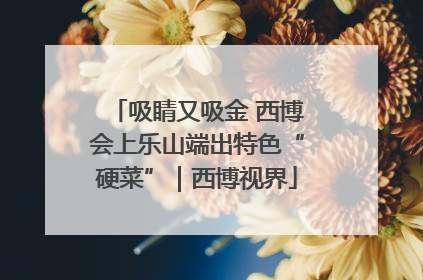 吸睛又吸金 西博会上乐山端出特色“硬菜”｜西博视界