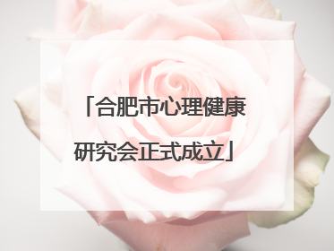 合肥市心理健康研究会正式成立