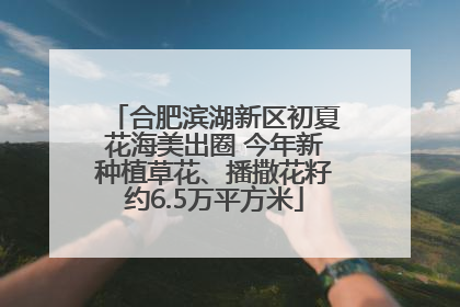 合肥滨湖新区初夏花海美出圈 今年新种植草花、播撒花籽约6.5万平方米