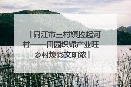 同江市三村镇拉起河村——田园织锦产业旺 乡村焕彩文明浓