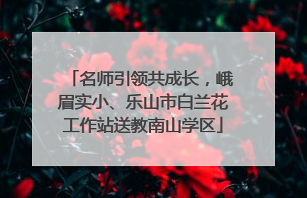 名师引领共成长，峨眉实小、乐山市白兰花工作站送教南山学区
