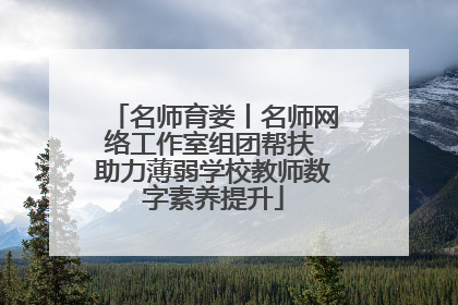 名师育娄丨名师网络工作室组团帮扶 助力薄弱学校教师数字素养提升