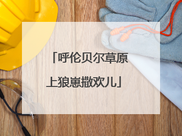 呼伦贝尔草原上狼崽撒欢儿