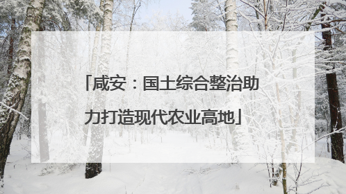 咸安：国土综合整治助力打造现代农业高地
