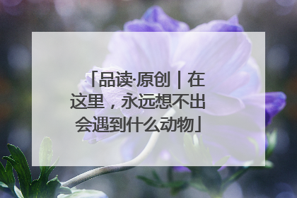 品读·原创｜在这里，永远想不出会遇到什么动物