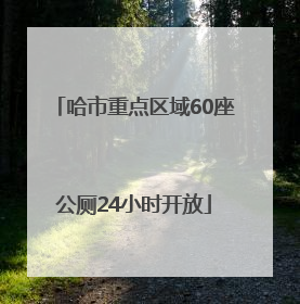 哈市重点区域60座公厕24小时开放