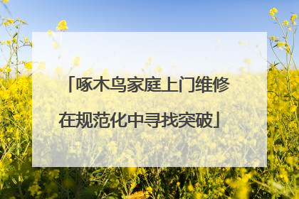 啄木鸟家庭上门维修在规范化中寻找突破