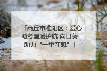 商丘市睢阳区：爱心助考温暖护航 向日葵助力“一举夺魁”