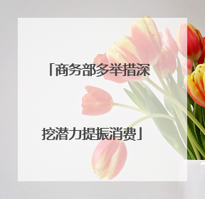 商务部多举措深挖潜力提振消费
