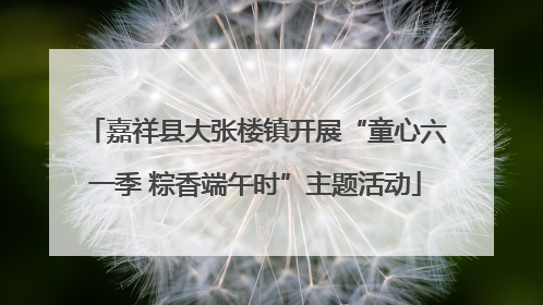 嘉祥县大张楼镇开展“童心六一季 粽香端午时”主题活动