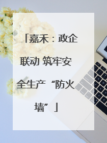 嘉禾：政企联动 筑牢安全生产“防火墙”