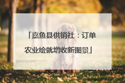 嘉鱼县供销社：订单农业绘就增收新图景