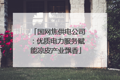 国网焦供电公司：优质电力服务赋能凉皮产业飘香