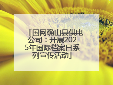 国网确山县供电公司：开展2025年国际档案日系列宣传活动
