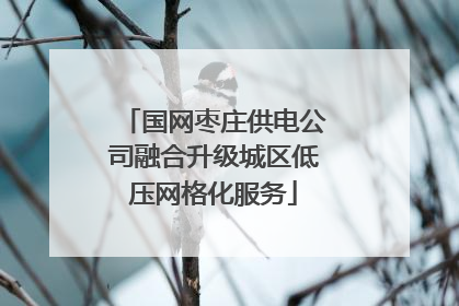 国网枣庄供电公司融合升级城区低压网格化服务