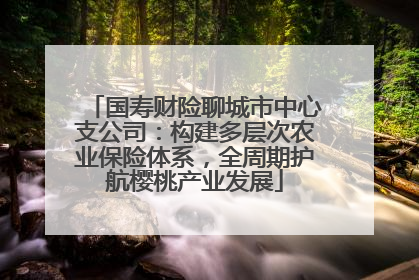 国寿财险聊城市中心支公司：构建多层次农业保险体系，全周期护航樱桃产业发展