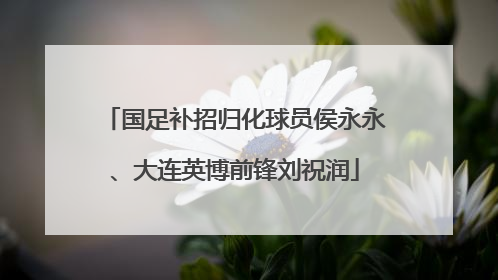 国足补招归化球员侯永永、大连英博前锋刘祝润