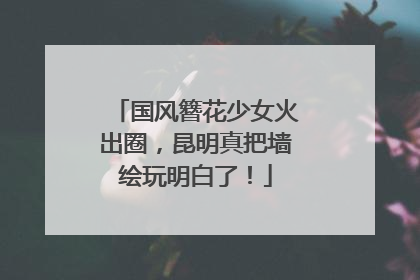 国风簪花少女火出圈，昆明真把墙绘玩明白了！