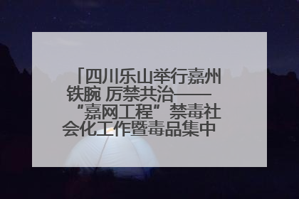 四川乐山举行嘉州铁腕 厉禁共治——“嘉网工程”禁毒社会化工作暨毒品集中销毁启动仪式