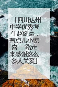四川达州中学优秀考生赵健豪：有点儿小惊喜 一路走来感谢这么多人关爱