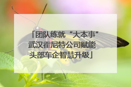 团队练就“大本事” 武汉霍尼特公司赋能头部车企智慧升级