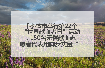 孝感市举行第22个“世界献血者日”活动，150名无偿献血志愿者代表用脚步丈量“中华孝爱第一山”