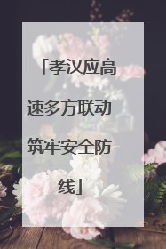 孝汉应高速多方联动筑牢安全防线