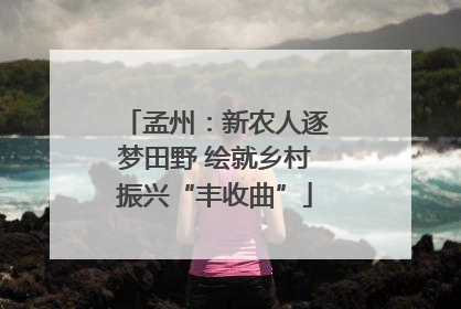 孟州：新农人逐梦田野 绘就乡村振兴“丰收曲”