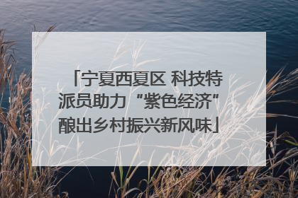 宁夏西夏区 科技特派员助力“紫色经济”酿出乡村振兴新风味