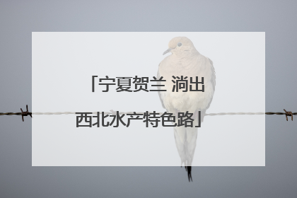 宁夏贺兰 淌出西北水产特色路