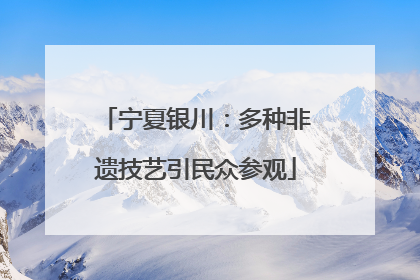 宁夏银川：多种非遗技艺引民众参观