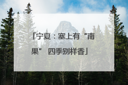 宁夏：塞上有“南果” 四季别样香