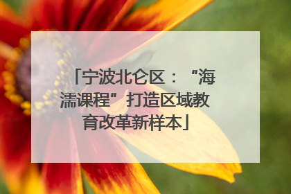 宁波北仑区：“海濡课程”打造区域教育改革新样本