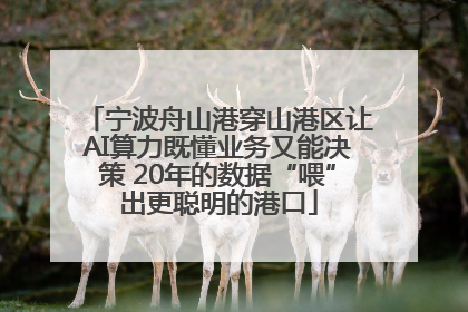 宁波舟山港穿山港区让AI算力既懂业务又能决策 20年的数据“喂”出更聪明的港口
