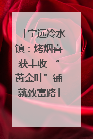 宁远冷水镇：烤烟喜获丰收 “黄金叶”铺就致富路