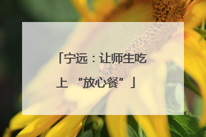 宁远：让师生吃上 “放心餐”