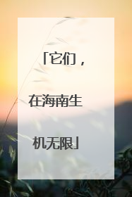 它们，在海南生机无限