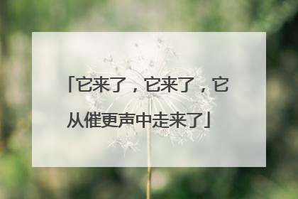 它来了，它来了，它从催更声中走来了