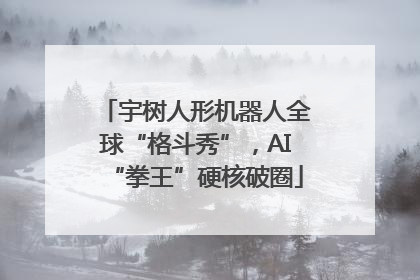 宇树人形机器人全球“格斗秀”，AI“拳王”硬核破圈