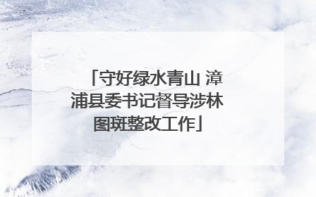 守好绿水青山 漳浦县委书记督导涉林图斑整改工作