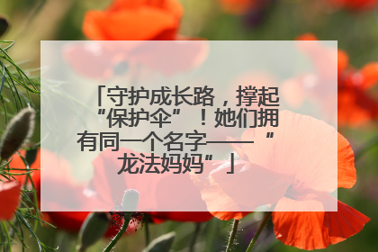 守护成长路，撑起“保护伞”！她们拥有同一个名字——“龙法妈妈”