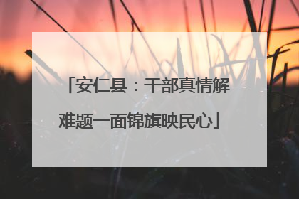 安仁县：干部真情解难题一面锦旗映民心