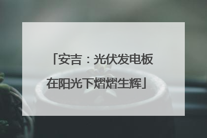 安吉：光伏发电板在阳光下熠熠生辉