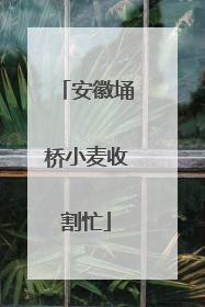 安徽埇桥小麦收割忙
