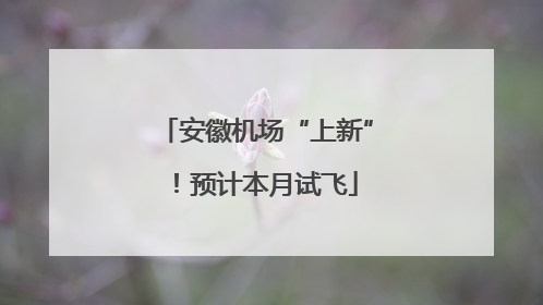 安徽机场“上新”！预计本月试飞