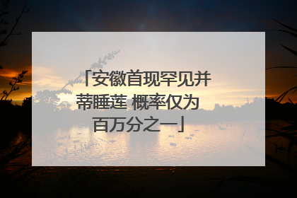 安徽首现罕见并蒂睡莲 概率仅为百万分之一