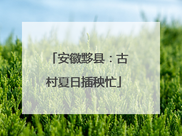 安徽黟县：古村夏日插秧忙
