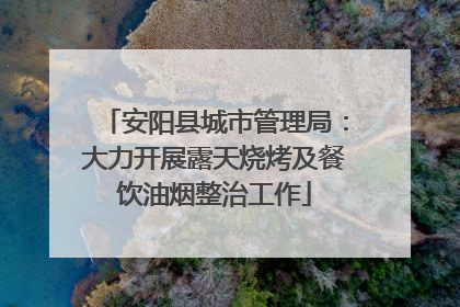 安阳县城市管理局：大力开展露天烧烤及餐饮油烟整治工作